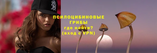 ALPHA PVP Балахна